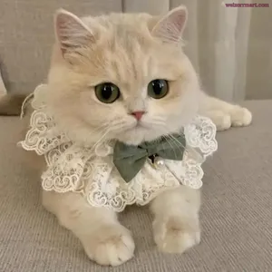 Ошейник для домашних животных с атласным галстуком, жемчугом и стразами