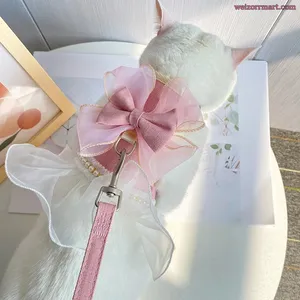 Pişik və İt Geyim Dəsti